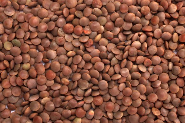 Brown-Lentils